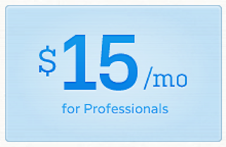 Only $15 a month for Professional Stylists, Masseuses, Estheticians and other Professionals Looking for Online Scheduling Services